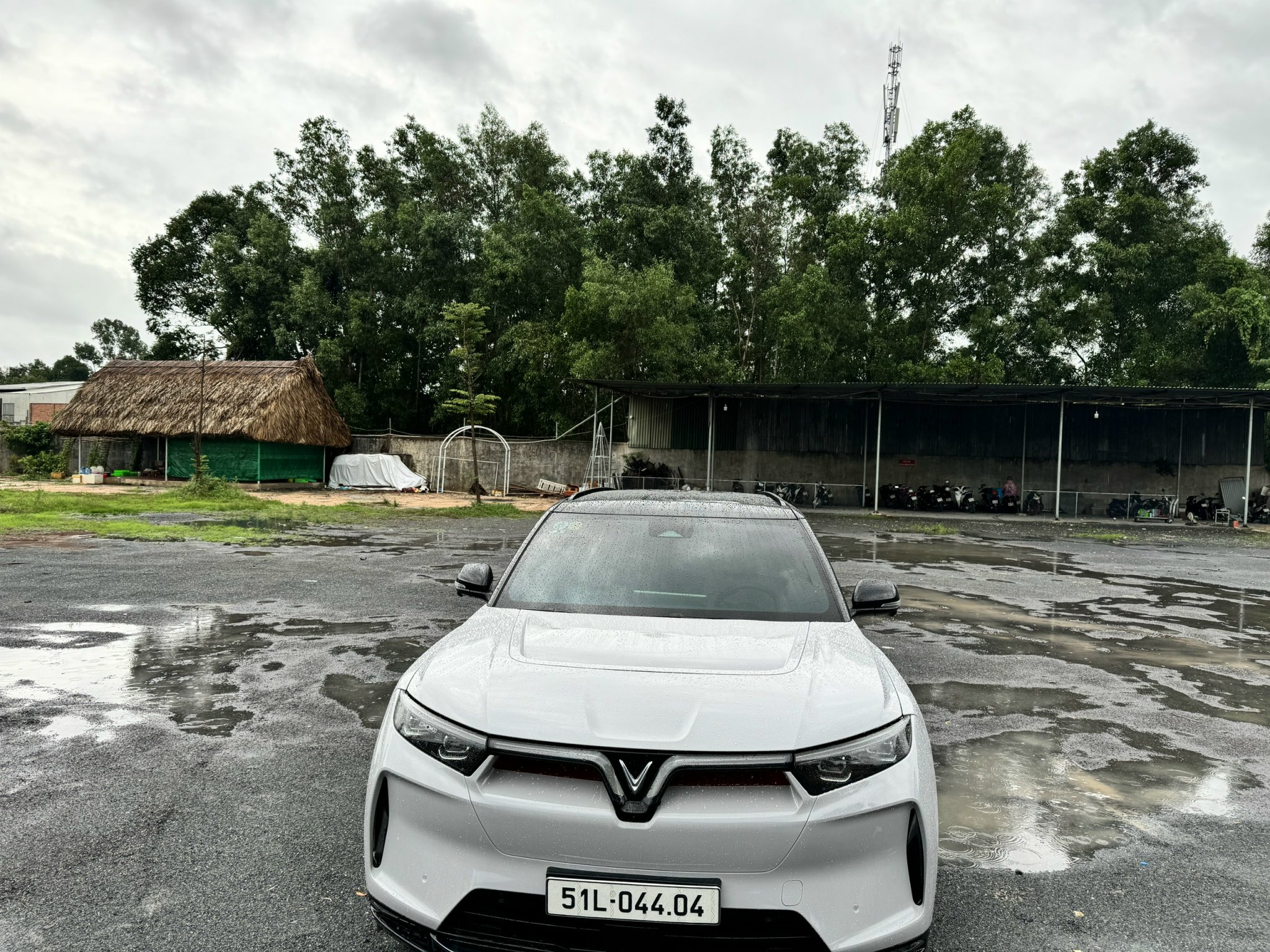 z5497798219188_c4d2a7ff227a3fcf689731d2753aef36